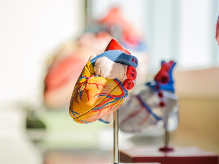 Gyrus Capital Signs Deal To Acquire LivaNova Heart Valve Business