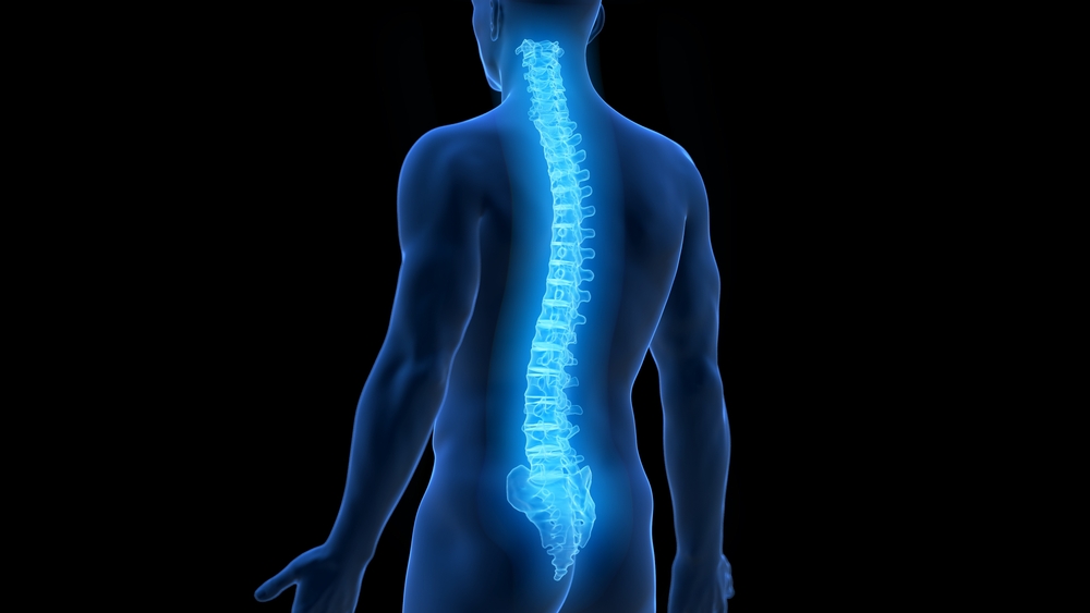 Stryker sells US spinal implants business