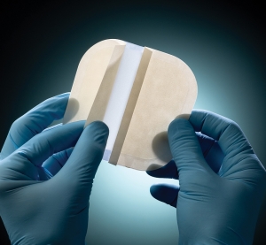 BeneHold Absorbent Wound Dressing portfolio